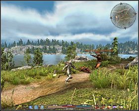 Orkowie (agresywni) - Bestiariusz (1) | Świat gry w Arcania Gothic 4 - Arcania: Gothic 4 - poradnik do gry