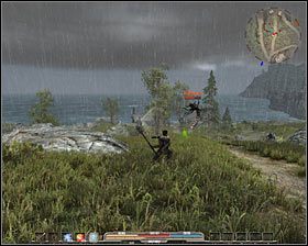 Osy (agresywne) - Bestiariusz (1) | Świat gry w Arcania Gothic 4 - Arcania: Gothic 4 - poradnik do gry