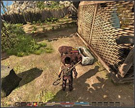 Świnie (neutralne) - Bestiariusz (2) | Świat gry w Arcania Gothic 4 - Arcania: Gothic 4 - poradnik do gry