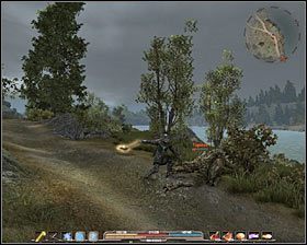 Topielcy (agresywne) - Bestiariusz (2) | Świat gry w Arcania Gothic 4 - Arcania: Gothic 4 - poradnik do gry