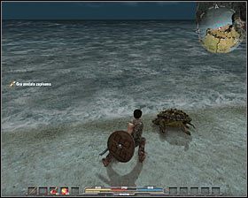 Żółwie morskie (neutralne) - Bestiariusz (2) | Świat gry w Arcania Gothic 4 - Arcania: Gothic 4 - poradnik do gry