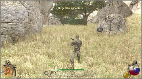 W wiosce panuje głód, mieszkańcu zaczęli zjadać konie - Klinika weterynaryjna | Zadania Two Worlds II - Bayan - Two Worlds II - poradnik do gry