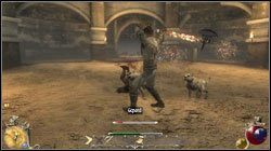 Kłopotów przysporzyć Ci mogą tylko dwa gepardy - Kopuła Bólu | Zadania Two Worlds II - Hatmandor - Two Worlds II - poradnik do gry