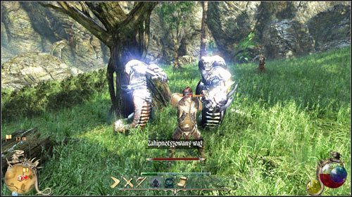 Na koniec pozostał sam kobziarz (M23:51) - Kobziarz z Ashos; Gadzi park | Zadania Two Worlds II - Gildia wojowników - Two Worlds II - poradnik do gry