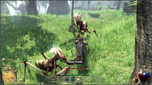 Zlecenie polega na oczyszczeniu polany (M23:52) z wszelkich potworów tam żyjących i ocaleniu tym samym górskich roślin - Pajęcze gniazdo; Magia ogrodnictwa | Zadania Two Worlds II - Gildia kupców - Two Worlds II - poradnik do gry