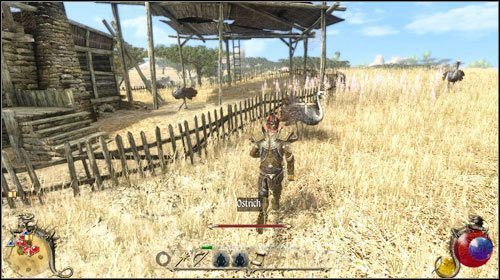 Zlecenie polega na pozbyciu się strusi otaczających dom mężczyzny, który wraz z córką został tym samym uwięziony w piwnicy (córka ma alergię na pióra) - Strusie pióra; Kariera naukowa | Zadania Two Worlds II - Gildia magów - Two Worlds II - poradnik do gry