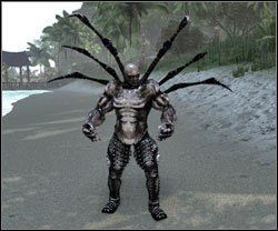 Fantazmat - Humanoidalne | Bestiariusz Two Worlds II - Two Worlds II - poradnik do gry