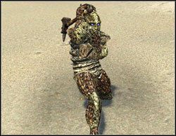 Scapulari - Humanoidalne | Bestiariusz Two Worlds II - Two Worlds II - poradnik do gry