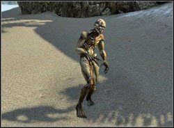 Zombie - Humanoidalne | Bestiariusz Two Worlds II - Two Worlds II - poradnik do gry