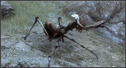 Ogromna modliszka - Potwory | Bestiariusz Two Worlds II - Two Worlds II - poradnik do gry