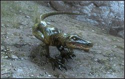 Gad - Potwory | Bestiariusz Two Worlds II - Two Worlds II - poradnik do gry