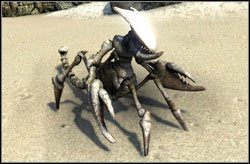 Ogromny skorpion / Skorpion smołowy - Potwory | Bestiariusz Two Worlds II - Two Worlds II - poradnik do gry