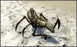 Ogromna mrówka - Potwory | Bestiariusz Two Worlds II - Two Worlds II - poradnik do gry