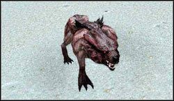 Wilkodemon - Potwory | Bestiariusz Two Worlds II - Two Worlds II - poradnik do gry