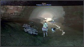 15 - Ruch oporu z Bowerstone | Opis przejścia Fable III - Fable III - poradnik do gry