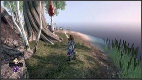 2 - Driftwood i Miasto Aurora | Zadania poboczne w Fable III - Fable III - poradnik do gry