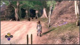 Zabijamy wszystkie, a następnie zeskakujemy z zerwanego mostu do wody - Driftwood i Miasto Aurora | Zadania poboczne w Fable III - Fable III - poradnik do gry