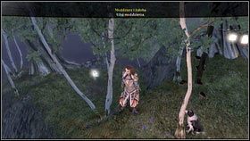 Gdy wyjdziesz z pieczary, skręć w prawo [1] i wdrap się na szczyt kolejnej wysepki - Srebrne klucze (3) | Znajdźki w Fable III - Fable III - poradnik do gry