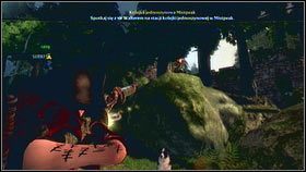 Idąc w kierunku Akademii będziesz przechodzić pod kamiennym mostkiem - Gnomy (1) | Znajdźki w Fable III - Fable III - poradnik do gry