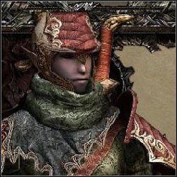 Elfi lansjer - Wojownicy | Jednostki przymierza elfów w Disciples III Odrodzenie - Disciples III: Odrodzenie - poradnik do gry