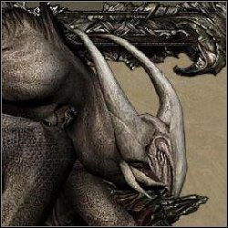 Tiamath - Jednostki wsparcia | Jednostki legionów potępionych w Disciples III Odrodzenie - Disciples III: Odrodzenie - poradnik do gry