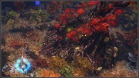 Do stolicy elfów dotrzemy samotnie. - Akt V- Wojownicy | Kampania przymierza elfów w Disciples III Odrodzenie - Disciples III: Odrodzenie - poradnik do gry