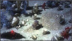 W świątyni [S] czekają na nas legiony potępionych - Akt V- Zamieć | Kampania imperium ludzi w Disciples III Odrodzenie - Disciples III: Odrodzenie - poradnik do gry