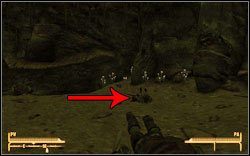 Toster Paladyna - Fallout New Vegas: Unikalne bronie - Fallout: New Vegas - poradnik do gry
