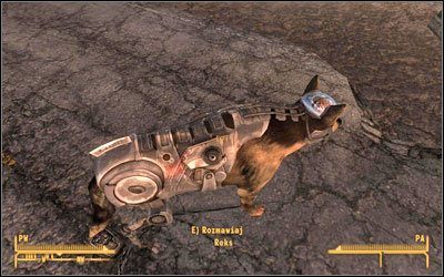 Powróć do doktora Henryego z jednym z trzech mózgów (możesz ze wszystkimi) - Fallout New Vegas: Tylko pies tropiący - Fallout: New Vegas - poradnik do gry