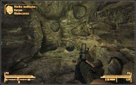 Wpierw musisz zdobyć jaja wielkich modliszek - Wyssij mnie do sucha | Zadania poboczne | Solucja Fallout New Vegas - Fallout: New Vegas - poradnik do gry