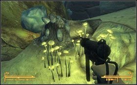 Kolejnym celem są jaja Nocnych Łowców - Fallout New Vegas: Wyssij mnie do sucha - Fallout: New Vegas - poradnik do gry