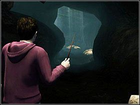Kolejny jaszczur stacjonuje naprzeciw, przez co unikanie ognia będzie nieco trudniejsze - Konfrontacja (7)- Ciemne jaskinie | Opis przejścia - Harry Potter i Insygnia Śmierci - część 1 - poradnik do gry
