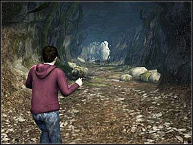 Krocząc jedyną ścieżką trafisz do lasu, gdzie zaatakują Cię pająki - Misja 9- Zemsta goblina (1) | Opis przejścia Harry Potter i Insygnia Śmierci - Harry Potter i Insygnia Śmierci - część 1 - poradnik do gry