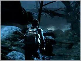 Dalsza droga znów prowadzić nas będzie wąską ścieżką pełną pająków - Misja 17- Mroźna noc (1) | Opis przejścia Harry Potter i Insygnia Śmierci - Harry Potter i Insygnia Śmierci - część 1 - poradnik do gry