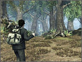 Kontynuując drogę (po powrocie do rozwidlenia) dotrzesz do zapory ze skał, a nieco później do lasu - Misja 18- Ksenofilius Lovegood (1) | Opis przejścia - Harry Potter i Insygnia Śmierci - część 1 - poradnik do gry