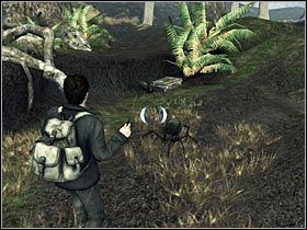 POTTERWARTA #12: do znalezienia w lesie po prawej stronie, podczas etapu Ksenofilius Lovegod - Misja 18- Ksenofilius Lovegood (1) | Opis przejścia - Harry Potter i Insygnia Śmierci - część 1 - poradnik do gry