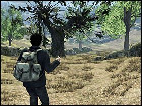 Po wydostaniu się z lasu, skieruj się ścieżką w dół zniesienia, w stronę pierwszej bijącej wierzby i rozległej polany - Misja 18- Ksenofilius Lovegood (1) | Opis przejścia - Harry Potter i Insygnia Śmierci - część 1 - poradnik do gry