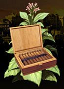 Koszt zakupu: 700 peso - Kuba | Posiadłości (Properties) | Mafia Wars - Mafia Wars - poradnik do gry