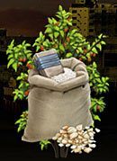 Koszt zakupu: 20000 peso - Kuba | Posiadłości (Properties) | Mafia Wars - Mafia Wars - poradnik do gry