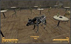 REKS - Fallout New Vegas: Towarzysze - Fallout: New Vegas - poradnik do gry
