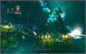 Na dnie znajdziesz miksturę (zasłoniętą korzeniem) - Etap 9- Fangle Forest (2) | Opis przejścia Trine - Trine - poradnik do gry