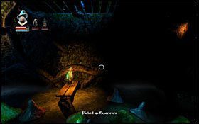 Kontynuując drogę w prawo wejdziesz do jaskini - Etap 10- Shadowthron Thicket | Opis przejścia Trine - Trine - poradnik do gry