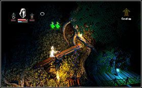 5 - Etap 10- Shadowthron Thicket | Opis przejścia Trine - Trine - poradnik do gry