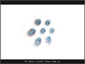 Aby opuścić pokój musisz otworzyć kłódkę na drzwiach - użyj wytrychów #1 - Hotel - trzecie piętro | Opis przejścia Dark Fall 3 Lost Souls - Dark Fall 3: Lost Souls - poradnik do gry