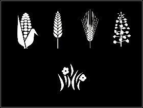 061 - Zasiew | Uprawa pola w Symulator Farmy 2011 - Symulator Farmy 2011 - poradnik do gry