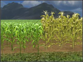 092 - Koszenie | Uprawa pola w Symulator Farmy 2011 - Symulator Farmy 2011 - poradnik do gry