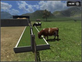 187 - Zarządzanie hodowlą | Hodowla bydła w Symulator Farmy 2011 - Symulator Farmy 2011 - poradnik do gry