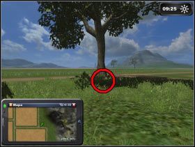 224 - Obszar B | Butelki i reputacja w Symulator Farmy 2011 - Symulator Farmy 2011 - poradnik do gry