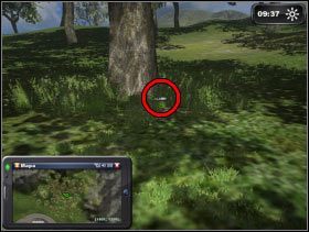 237 - Obszar C | Butelki i reputacja w Symulator Farmy 2011 - Symulator Farmy 2011 - poradnik do gry