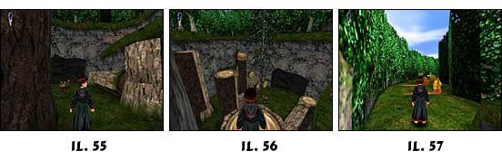 Tutaj z kolei drogę zagradzają trzy płonące ślimaki - Solucja Harry Potter i Kamień Filozoficzny cz.7 - Harry Potter i Kamień Filozoficzny - poradnik do gry